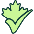 Canada Director Blog
